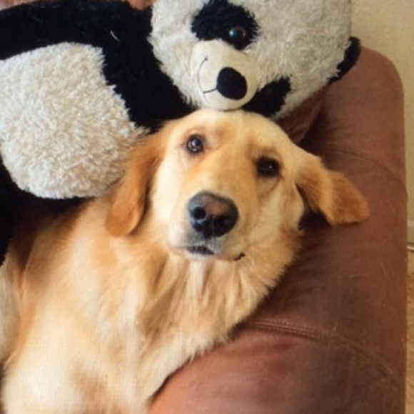 LIKE THIS LISTING TO BE NOTIFIED WHEN I GO LIVE W/AWESOME GOLD &PLAT JEWELRY 💕 - Picture 5 of 8